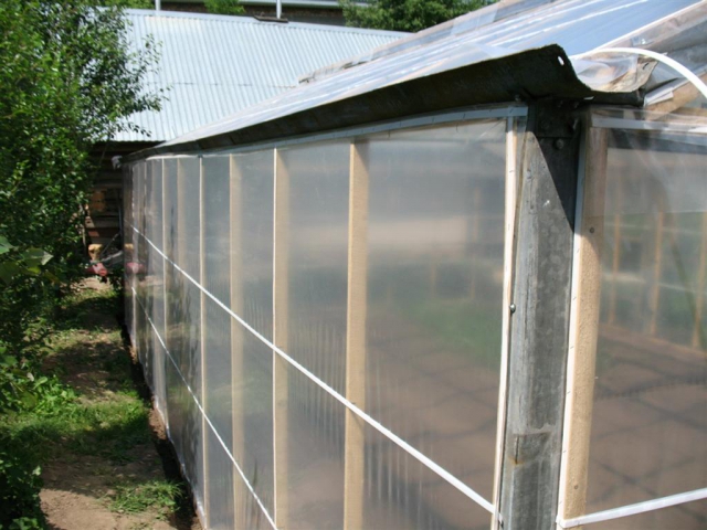 ������� ������ ���